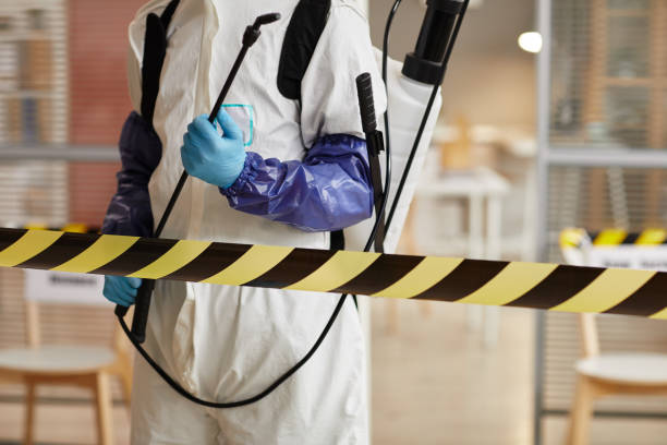 Professional Sewage Cleanup technician working in Elmira, CA